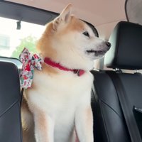 「ん？ここどこ？」