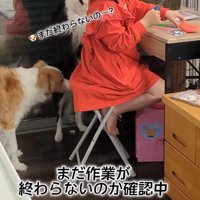 作業中のお姉ちゃんとアグちゃん7