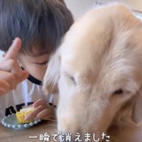 一瞬で完食！