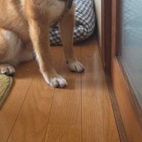 修理業者さんを呼んだ