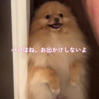 「出かけちゃダメ！！」