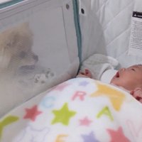 あやし続けるモチちゃん
