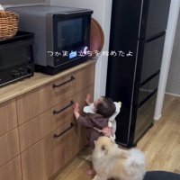 つかまり立ちする赤ちゃん