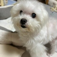 「ご褒美ちょうだい」とアピール中