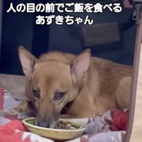 表情も柔らかく