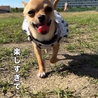 笑顔で走り回る姿にキュン♪