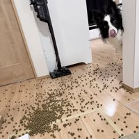 気持ちを落ち着かせないと…