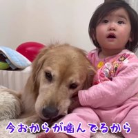 「そっとしてあげてね」