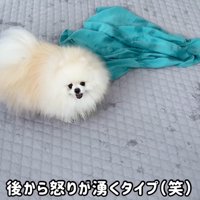 お風呂上がりに不満爆発！