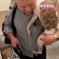 雷が鳴った時のきびちゃん3