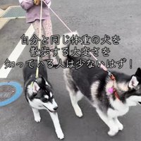 進むスピードをしっかりコントロール