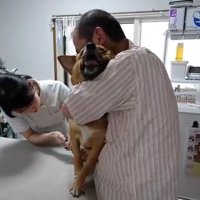 絶叫するわんこ