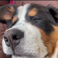 まだまだ赤ちゃん♡