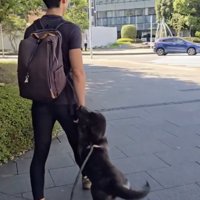 「パパー！！」