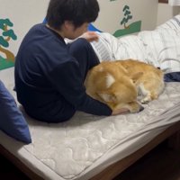 動くまいという強い意志