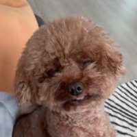 寝かしつけもしてもらう♡