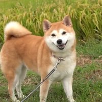 パパさんが一緒でニコニコ♪