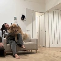 ハナコちゃんとお姉ちゃんの再会9