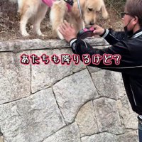 降りられない！