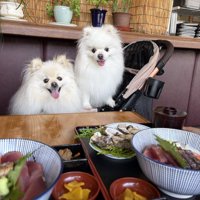 お食事
