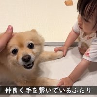 仲良しで尊い♡