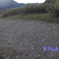 ナラちゃんが気配を察知！？