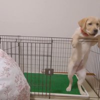 ごはんを持ってきたら…