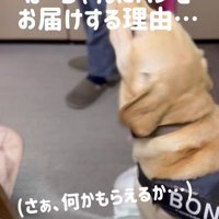 「配達完了！」