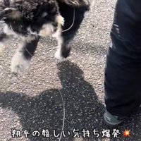 大はしゃぎする姿が可愛い！