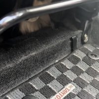 「病院…絶対やだ…」