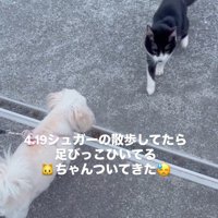 なぜかボロボロだった