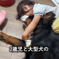 ベルちゃんをぎゅっ♡