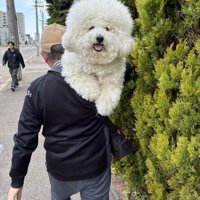 抱っこ