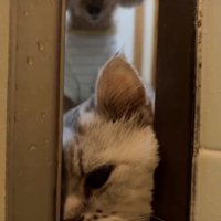 後ろから見守ります