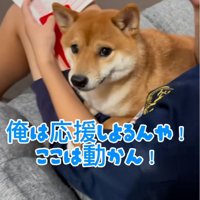 絶対に動かないなぎくん