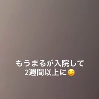 入院したまるちゃん