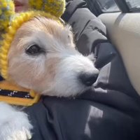 毎日のびのびと暮らしていた