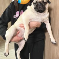 抱っこ