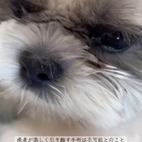 投薬、頑張りました