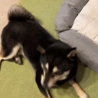 起きてくれたと思ったら…