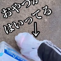 おやつがあった♪