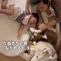 じーっ…