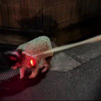 ゆっくりと確実に歩む派♡