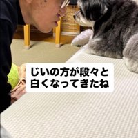 ニウちゃんとおじいちゃん9