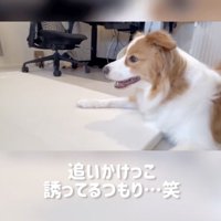 仲良くなれたかな？
