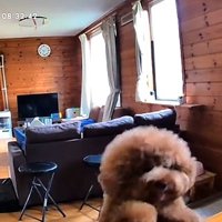 傘を見つけたいっきゅう君