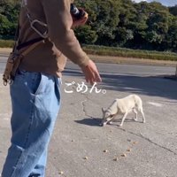 犬のそばにおやつを撒く男性