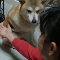 顔をそむける犬と話しかける子ども
