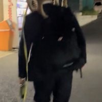 肩乗りで進む犬
