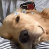 ため息をつく麹くん